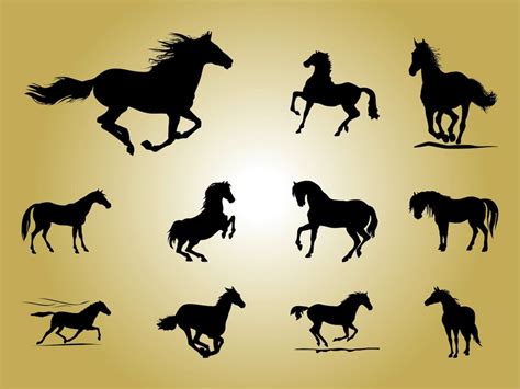 Wild Horses Silhouette PNG And Vector Images Free Download.